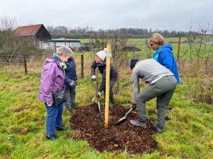 WhatsApp Image 2026-03-06 at 11.34.03 (24)