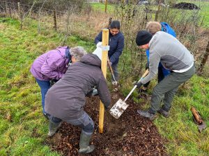 WhatsApp Image 2026-03-06 at 11.34.03 (25)