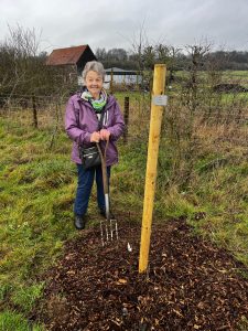 WhatsApp Image 2026-03-06 at 11.34.03 (26)